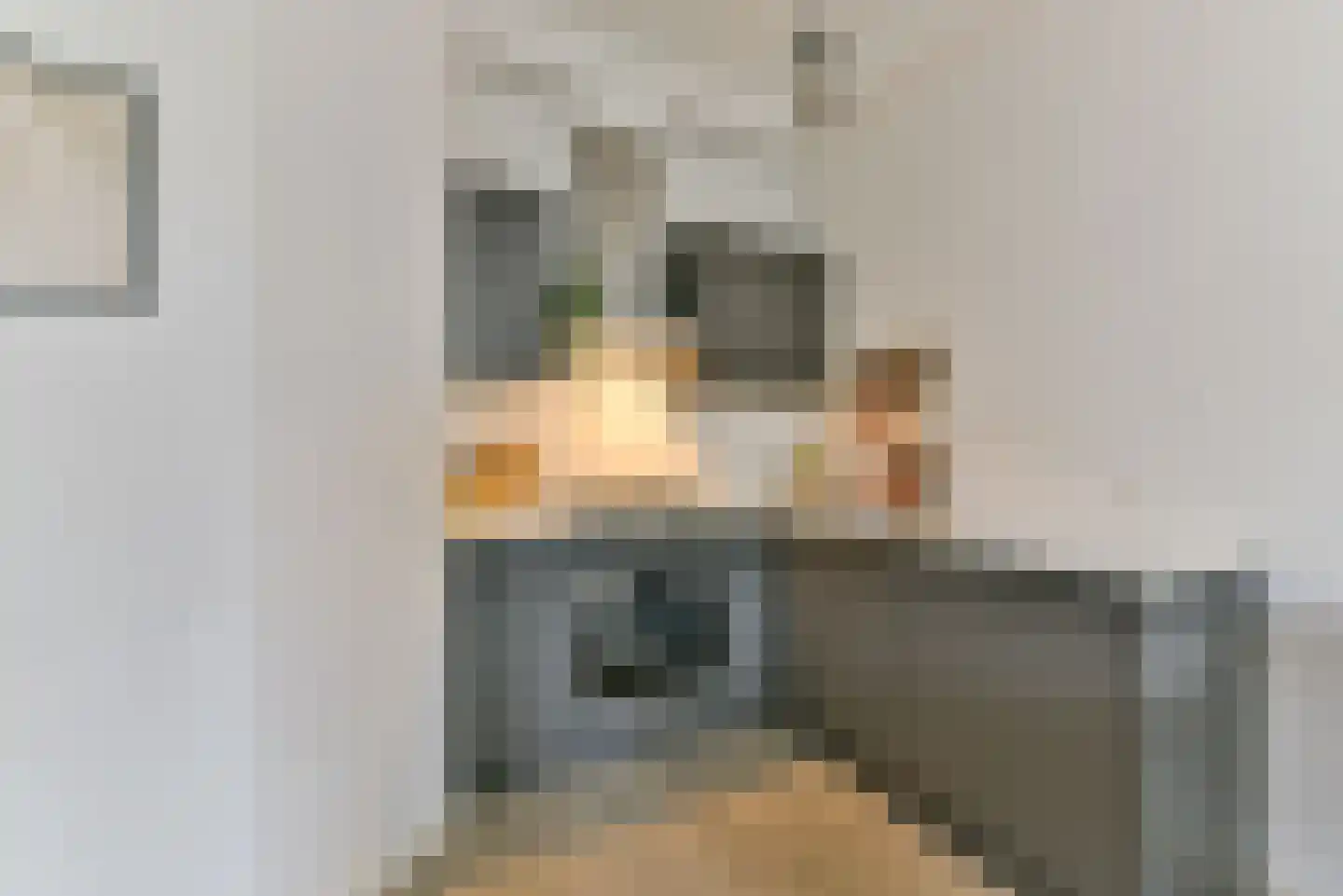 Balijelaan 2 G Utrecht thumbnail 11