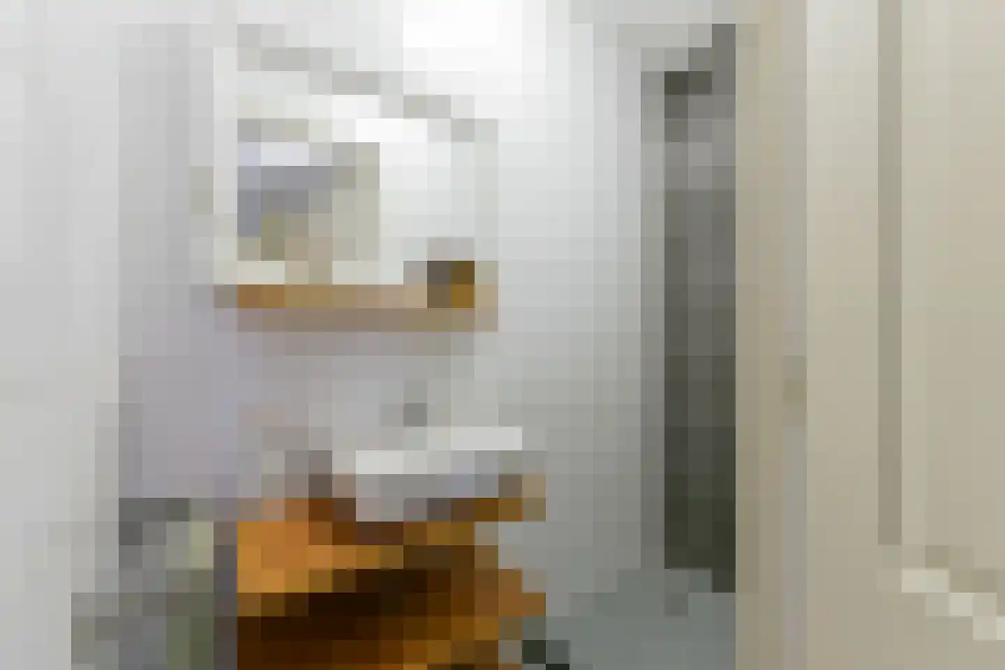 Balijelaan 2 G Utrecht thumbnail 21