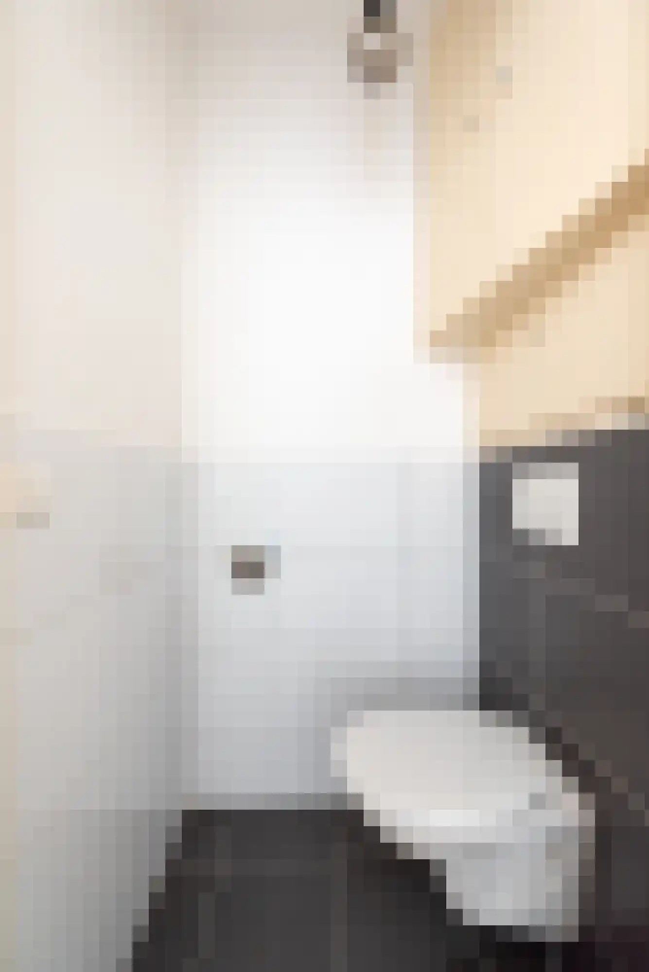 Balijelaan 2 G Utrecht thumbnail 23