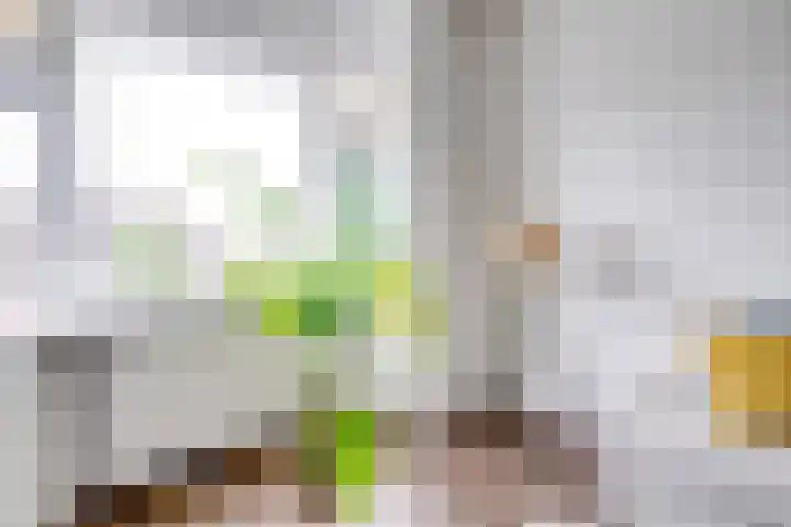 Balijelaan 31 BS Utrecht thumbnail 12