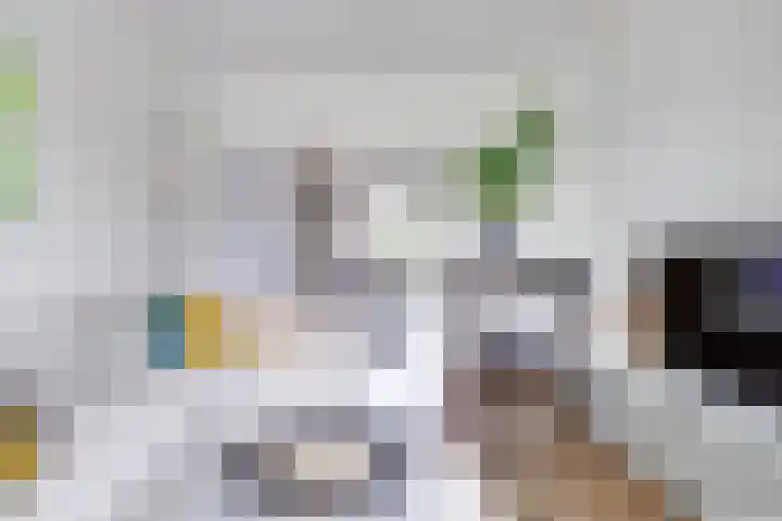 Balijelaan 31 BS Utrecht thumbnail 14