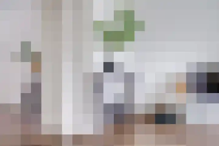 Balijelaan 31 BS Utrecht thumbnail 15