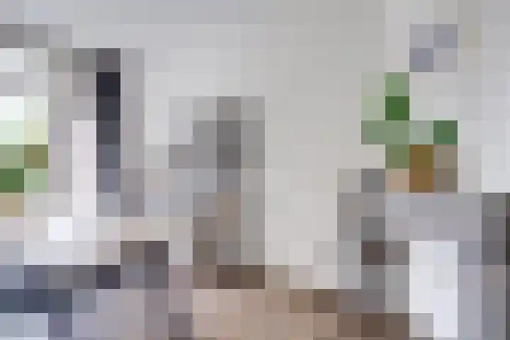 Balijelaan 31 BS Utrecht thumbnail 18