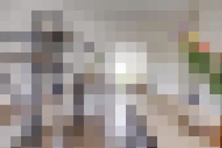 Balijelaan 31 BS Utrecht thumbnail 22
