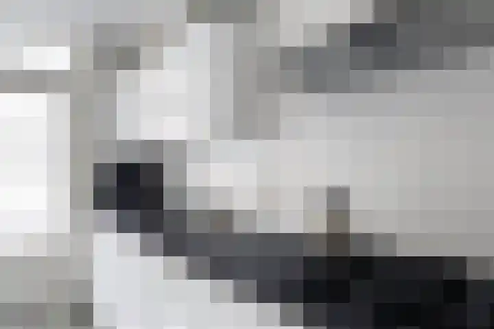 Balijelaan 31 BS Utrecht thumbnail 23