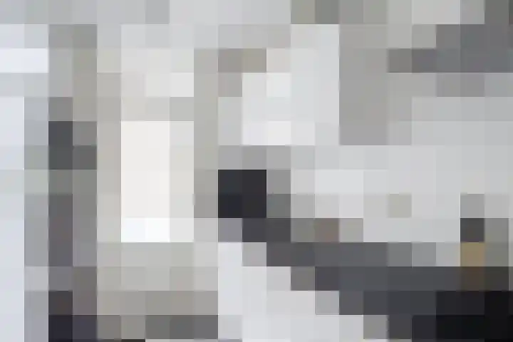 Balijelaan 31 BS Utrecht thumbnail 24
