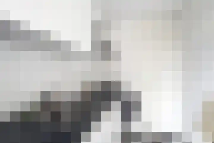 Balijelaan 31 BS Utrecht thumbnail 25