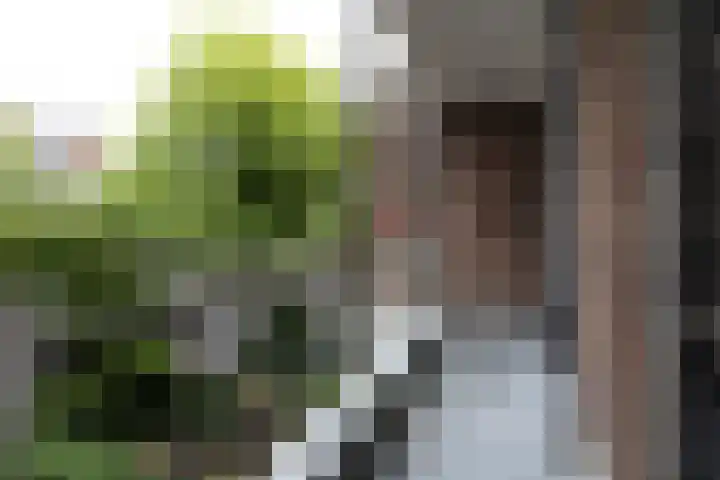 Balijelaan 31 BS Utrecht thumbnail 27