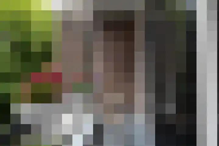 Balijelaan 31 BS Utrecht thumbnail 28
