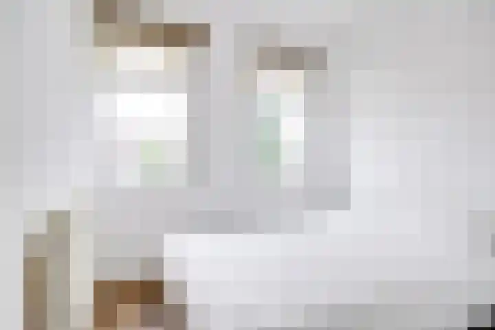 Balijelaan 31 BS Utrecht thumbnail 29