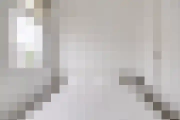 Balijelaan 31 BS Utrecht thumbnail 30