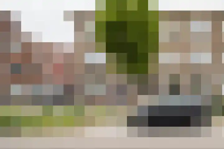 Balijelaan 31 BS Utrecht thumbnail 43