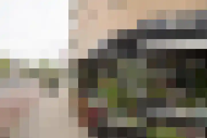 Balijelaan 31 BS Utrecht thumbnail 48