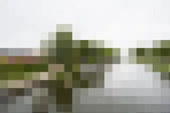 Balijelaan 31 BS Utrecht thumbnail 49