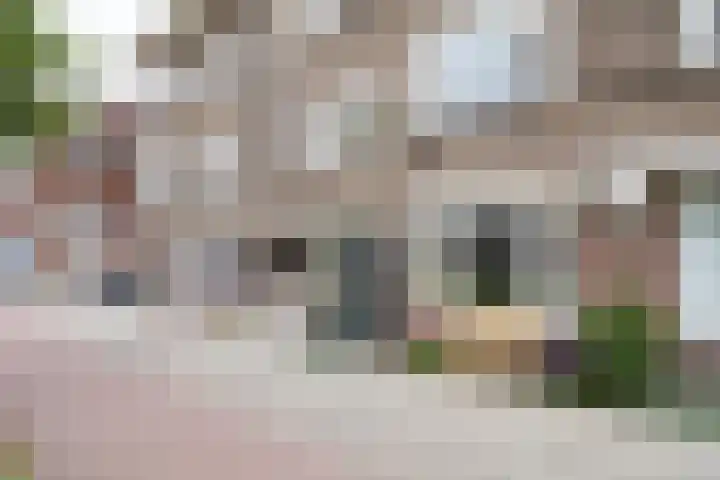 Balijelaan 31 BS Utrecht thumbnail 5