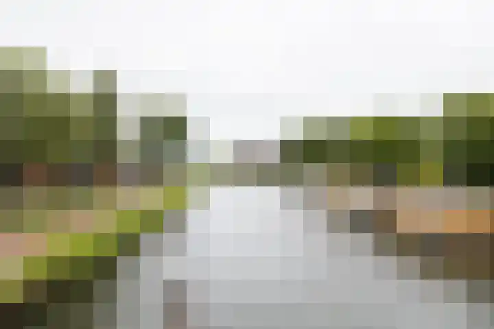 Balijelaan 31 BS Utrecht thumbnail 50