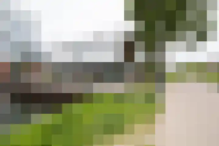 Balijelaan 31 BS Utrecht thumbnail 51