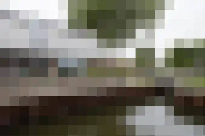 Balijelaan 31 BS Utrecht thumbnail 52