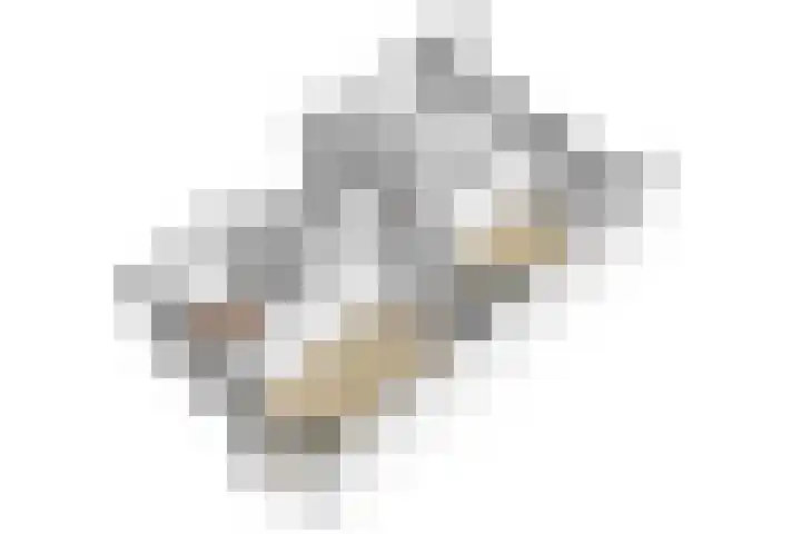 Balijelaan 31 BS Utrecht thumbnail 55