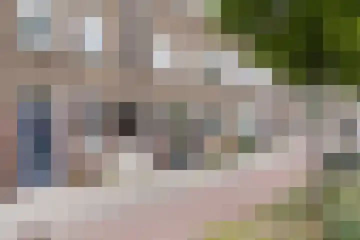 Balijelaan 31 BS Utrecht thumbnail 6