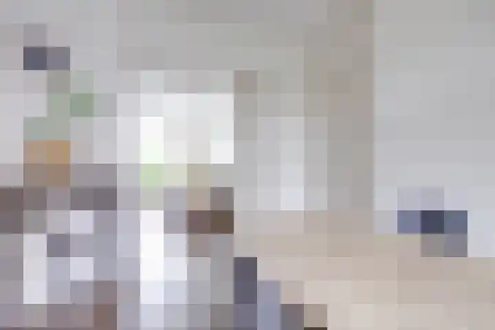 Balijelaan 31 BS Utrecht thumbnail 7