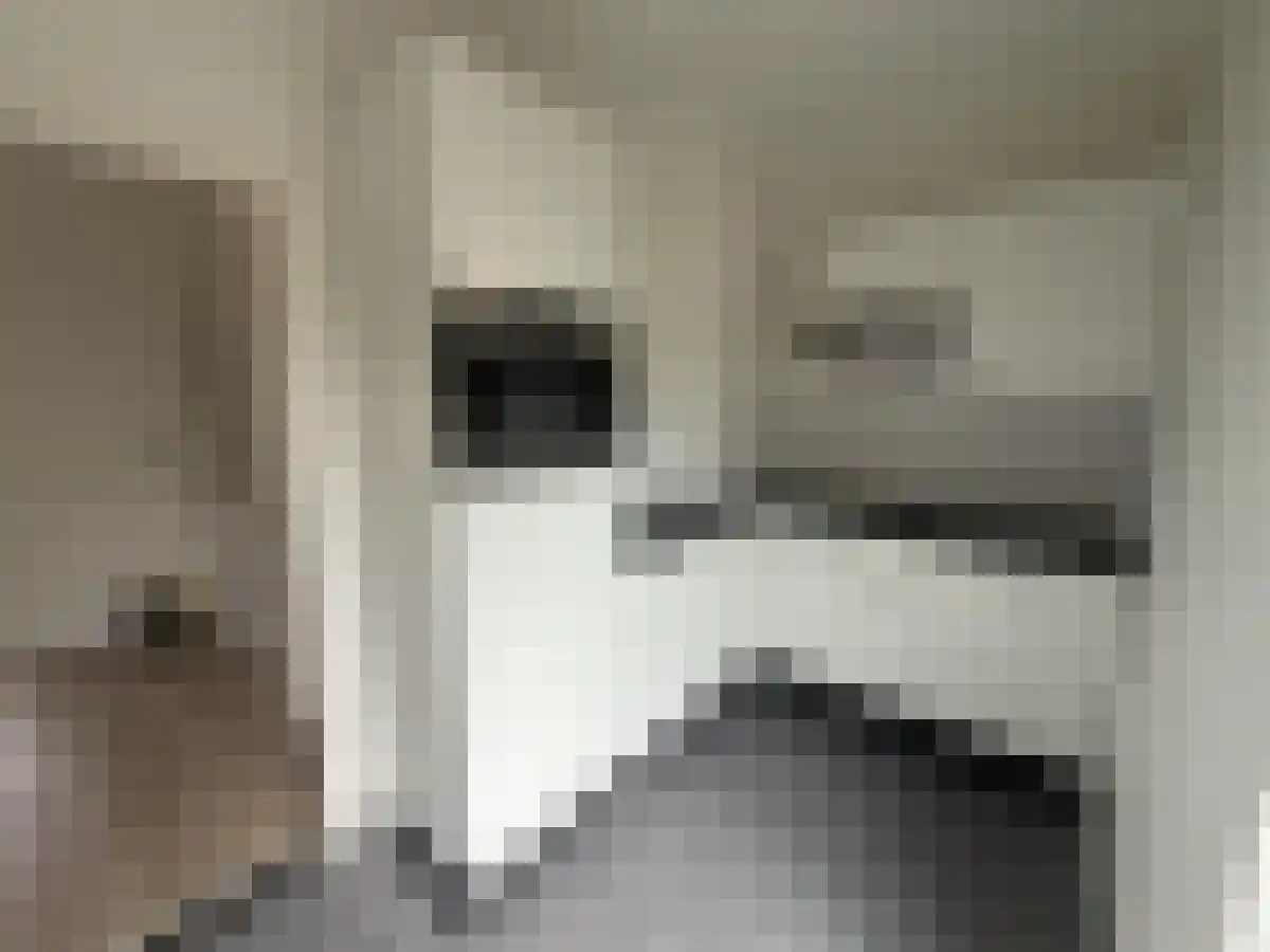 Balijelaan 32 Utrecht thumbnail 4
