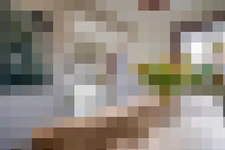 Balijelaan 34 BS Utrecht thumbnail 17