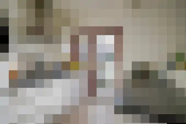 Balijelaan 34 BS Utrecht thumbnail 19