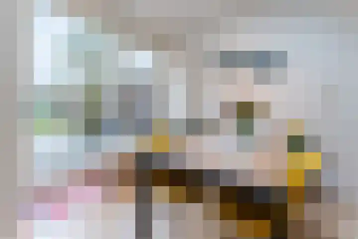 Balijelaan 34 Utrecht thumbnail 10