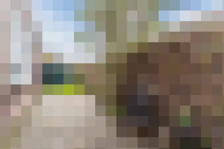Balijelaan 34 Utrecht thumbnail 11