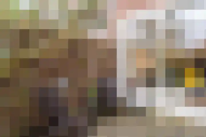 Balijelaan 34 Utrecht thumbnail 15