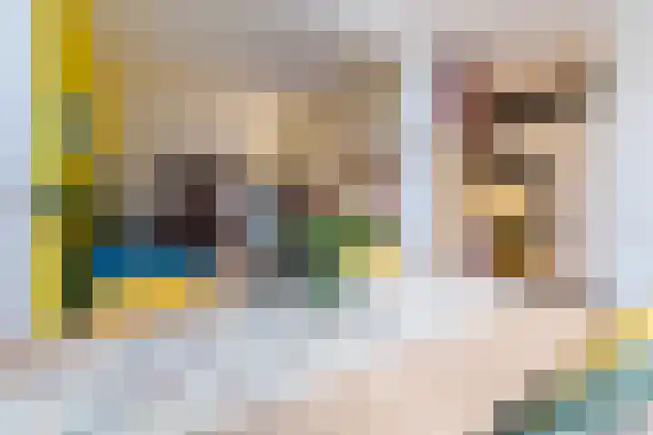 Balijelaan 34 Utrecht thumbnail 17