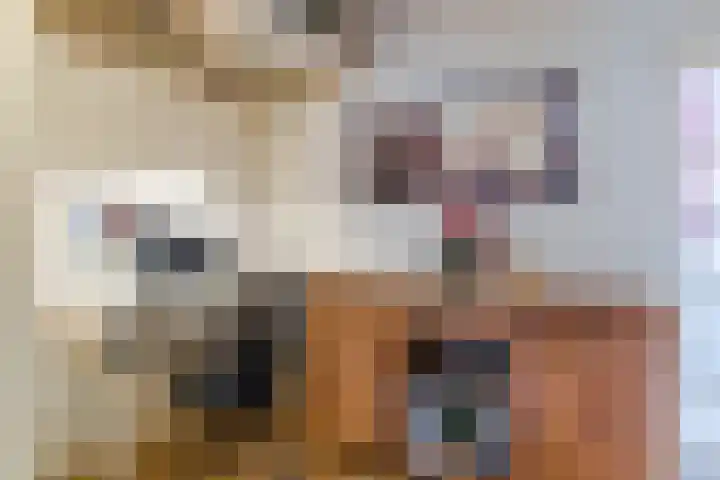 Balijelaan 34 Utrecht thumbnail 19