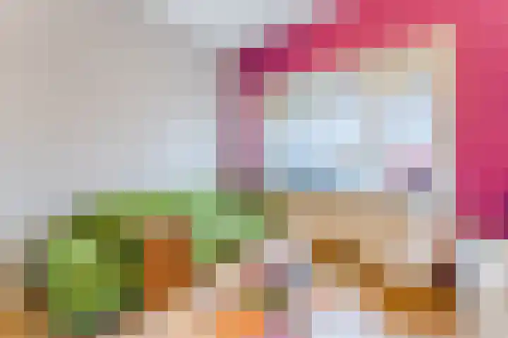 Balijelaan 34 Utrecht thumbnail 20