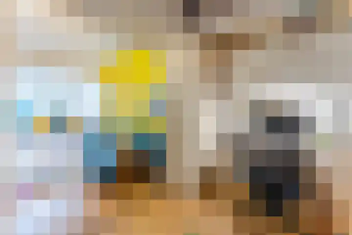 Balijelaan 34 Utrecht thumbnail 22