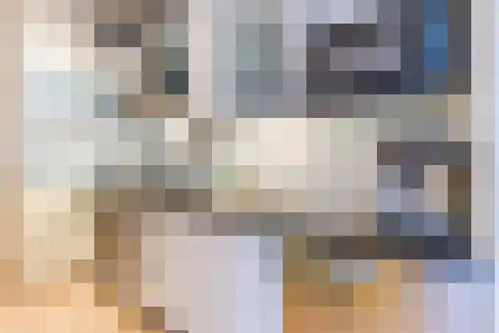 Balijelaan 34 Utrecht thumbnail 25