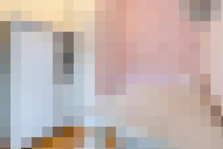 Balijelaan 34 Utrecht thumbnail 30