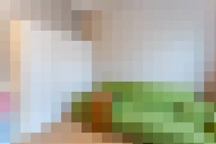 Balijelaan 34 Utrecht thumbnail 31