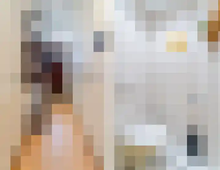 Balijelaan 34 Utrecht thumbnail 32