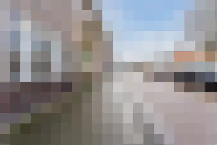 Balijelaan 34 Utrecht thumbnail 34