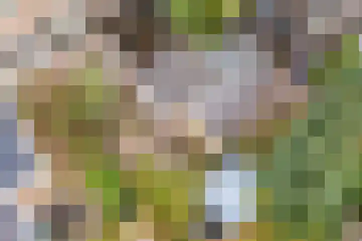 Balijelaan 34 Utrecht thumbnail 39