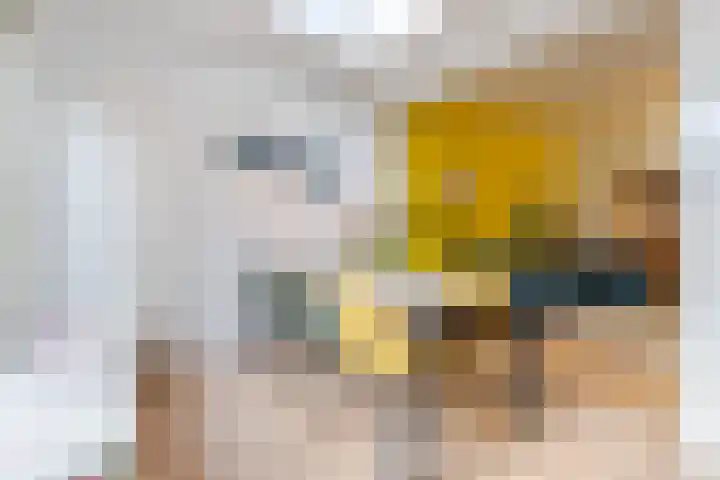 Balijelaan 34 Utrecht thumbnail 4