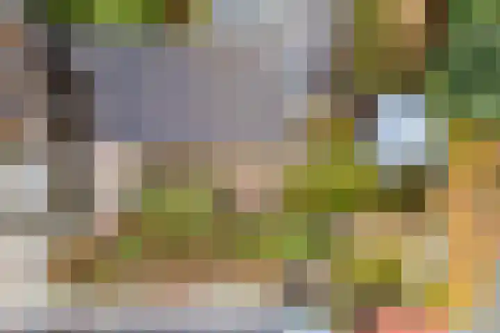 Balijelaan 34 Utrecht thumbnail 40