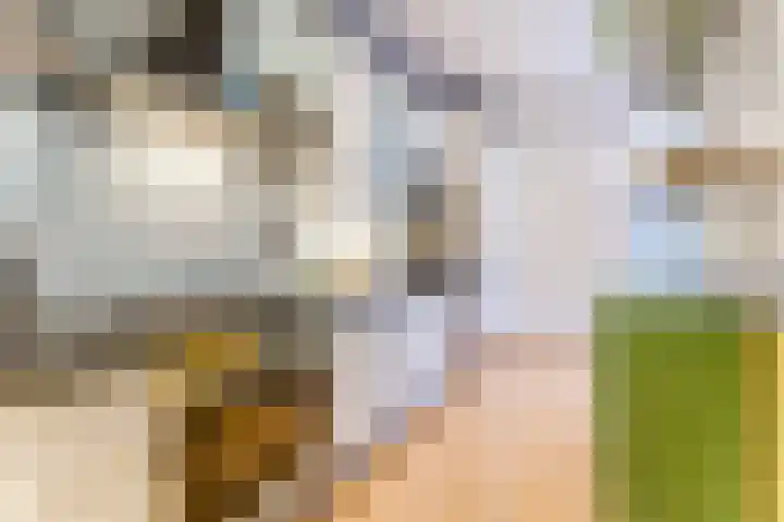 Balijelaan 34 Utrecht thumbnail 8