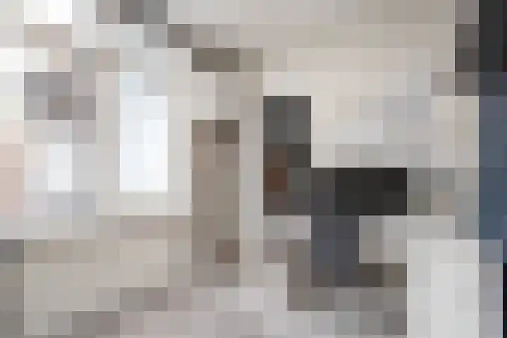 Balijelaan 35 Utrecht thumbnail 16
