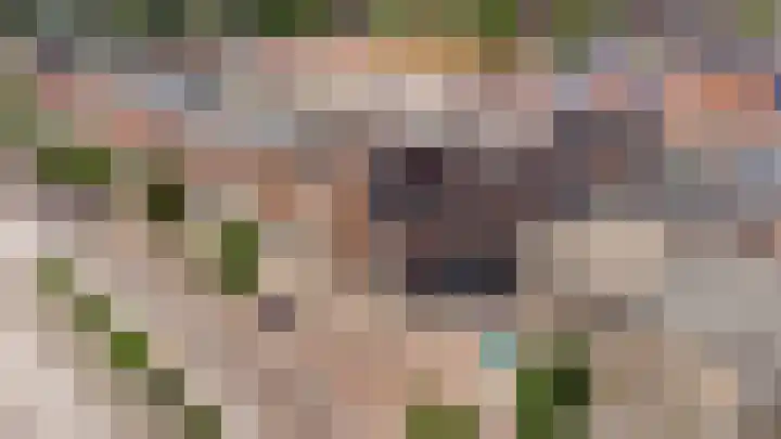 Balijelaan 35 Utrecht thumbnail 22