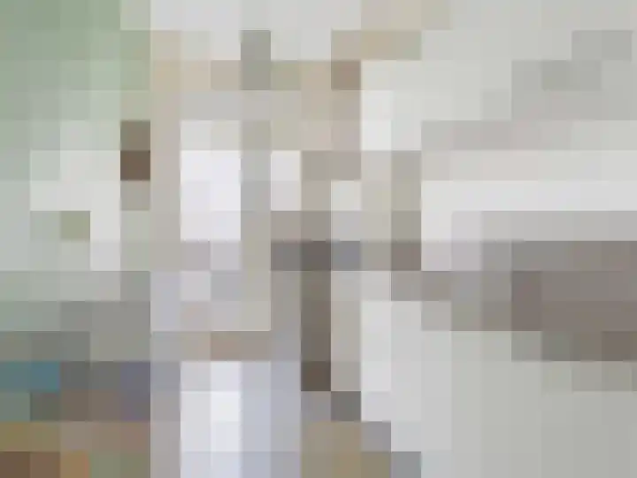 Balijelaan 39 BS Utrecht thumbnail 13