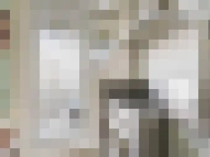 Balijelaan 39 BS Utrecht thumbnail 16