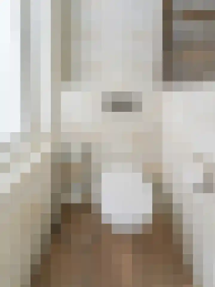 Balijelaan 39 BS Utrecht thumbnail 29