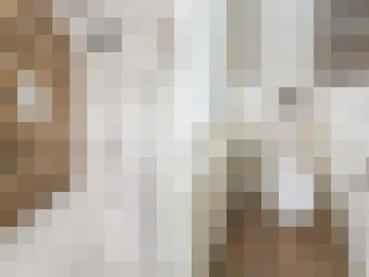 Balijelaan 39 BS Utrecht thumbnail 30